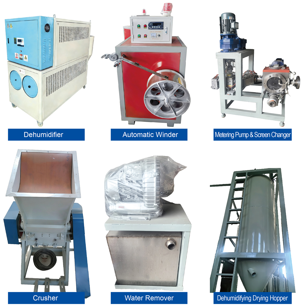 L&iacute;nea de producci&oacute;n de mascotas