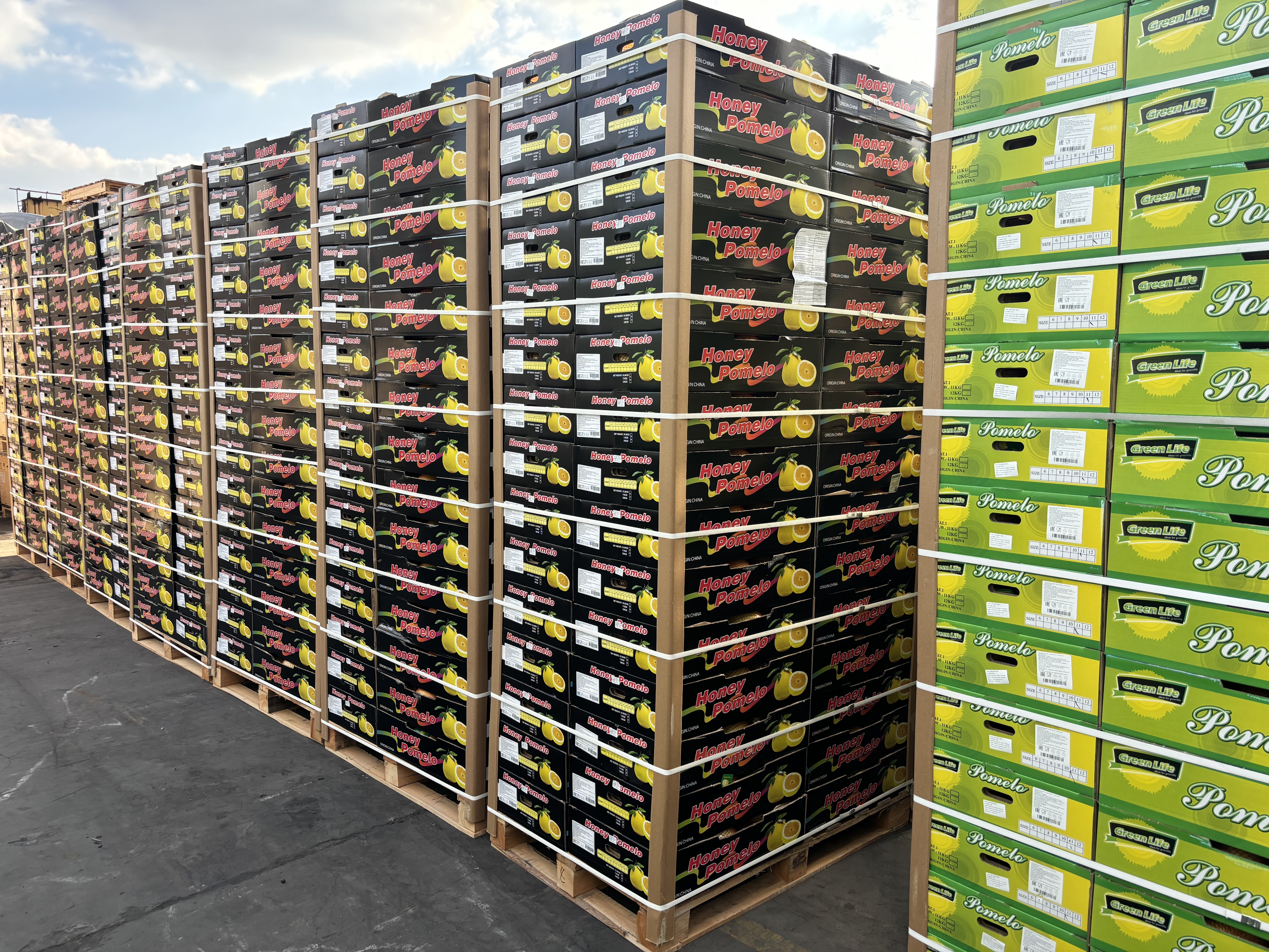 Industria frutal